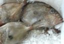 Ricette pesce: sanpietro alle olive