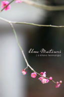 Mignonne, allons voir si l’ume…