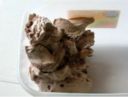 Gelato ai cookies ( Con Gelatiera)