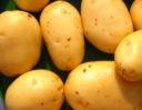 La patata contro acidità e mal di stomaco