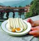 PARLIAMO DI ASPARAGI