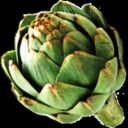 PARLIAMO DI CARCIOFI