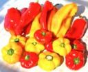 Settembre: rosso (giallo e verde) come un peperone