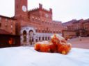 Frittelle di San Giuseppe, minutaglie ghiotte da leccarsi i baffi (oltre che le dita)