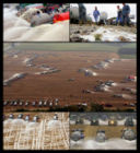 Non Piangere sul latte versato