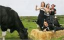 Mooo-sica per le mie orecchie