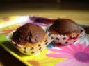 Cupcakes alla vaniglia
