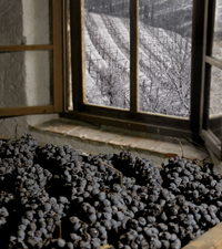 Where in the wine world are we? Giveaway edition