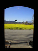 Can social media save the day for wineries?