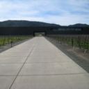 Dominus Estate, Napa Valley – photo post