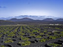 Rocks for shocks: geologists don’t “debunk” terroir, just minerality