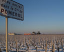 Bordeaux “bloodbath” coming after “artificial” demand: AFP