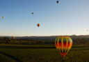 Napa Valley struggles to escape “time warp”!