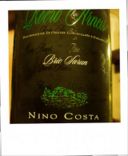 Roero Arneis DOCG – Nino Costa, Bric Sarun 2009