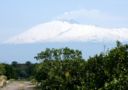 Alla scoperta dei prodotti tipici siciliani: i Pistacchi Verdi di Bronte