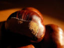 Arrivano le castagne: frittelline e marmellata!