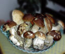 Insalata di funghi porcini e sedano