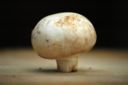 Salsa di funghi, un condimento autunnale per la pasta