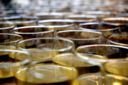 SuperWhites, il 20 ed il 21 febbraio 2010 i vini friulani protagonisti a Roma