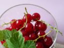 Ricette per San Valentino: mousse di mele con cuore di ribes