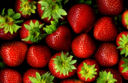 Le Fragole che buone! allora usiamole per preparare delle piccole tartine dolci