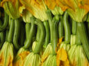 Un contorno per l’estate, zucchini in umido