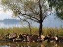 I laghi del nord e le loro specialità: Varese