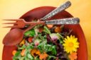 Cucinare con i fiori, ricette e consigli