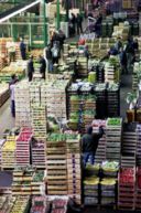 Gusto e Sapori ai Mercati generali di Milano