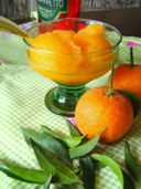 Ricette dolci, sorbetto al mandarino