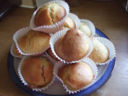 Ricette bimby, muffin salati con erbe e formaggi