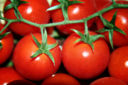 Ricette bimby, pomodori ripieni per secondo