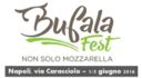 Successo del Bufala Fest