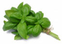 Basilico