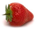 Fragola