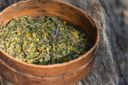 A caccia dell’ingrediente segreto nei boschi con il Foraging