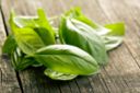 Trucchi in cucina: come conservare il basilico