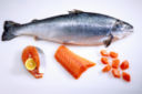 Il salmone fa male? Caratteristiche, allevamento e salubrità