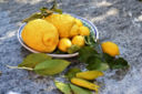 Le ricette da preparare con il cedro