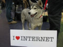 Internet style