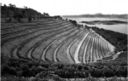 Empordà, il cannonau al di là del mare