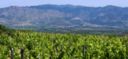 Etna, il terroir che cova sotto la cenere