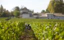 Figli (maggiorenni) di un Bordeaux minore