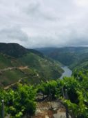 Spagna, tutto quello che avreste sempre voluto sapere sui vini della Galizia