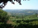 Verticali(tà) | San Fereolo e i falò sulle colline di Dogliani