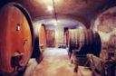 Giovanni Canonica | Ode al Barolo “rivedibile”