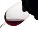 Insider | Caro diario, oggi mi sono iscritto a un corso per sommelier Ais