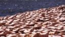 Davanti ai cambiamenti climatici siamo nudi. Letteralmente