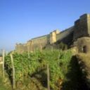 Un sabato, il sole, le vigne: tutti a #GOTour