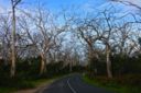 One Place: Three Photos – Cape Otway, Great Ocean Road, Australia